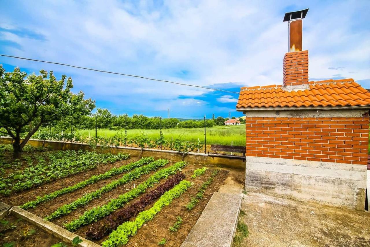 Kuca Za Odmor Luca Apartamento Posedarje Exterior foto